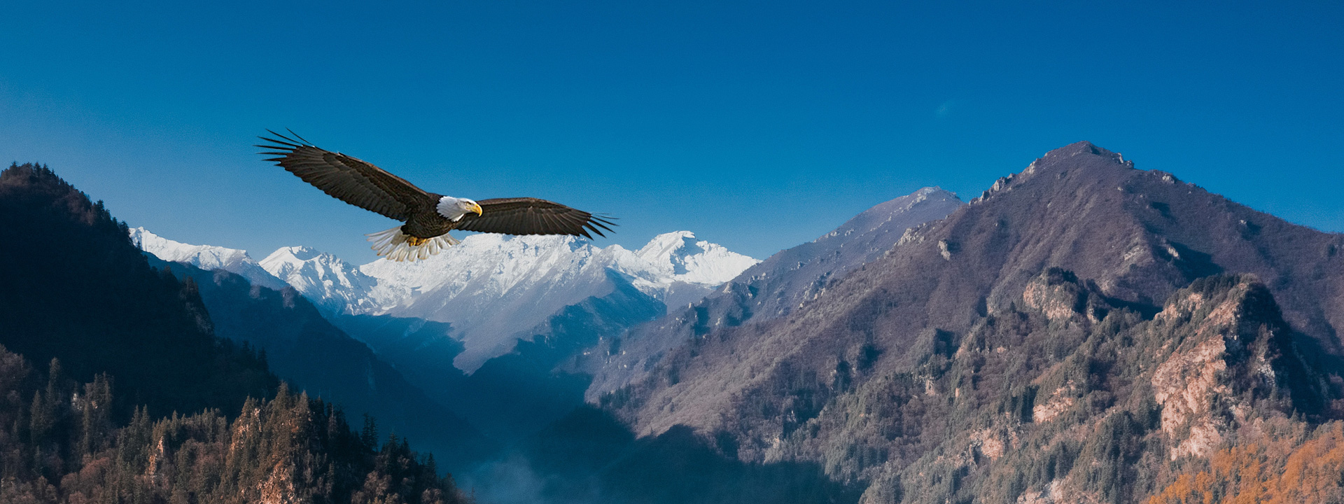 J9Ö±Óª¼¯ÍÅ¡¾CHINA¡¿¹Ù·½ÍøÕ¾