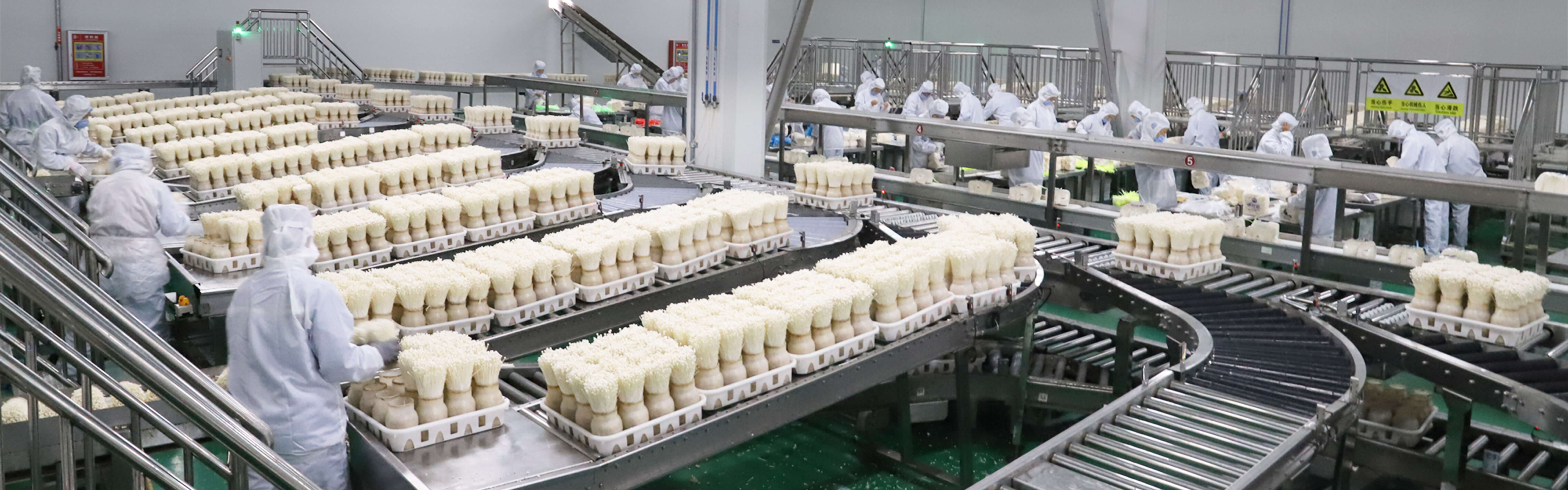 J9直营集团【CHINA】官方网站