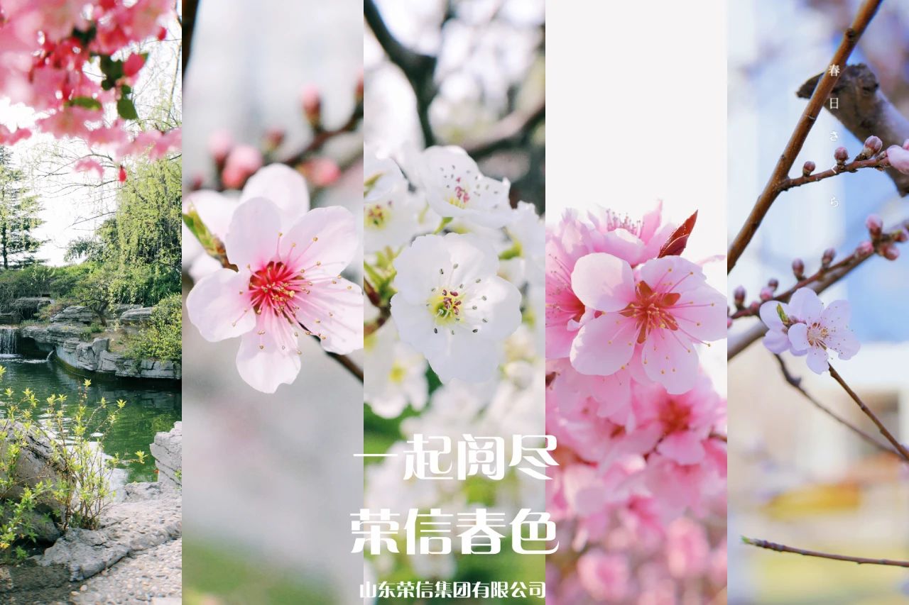 J9ֱӪ���š�CHINA���ٷ���վ