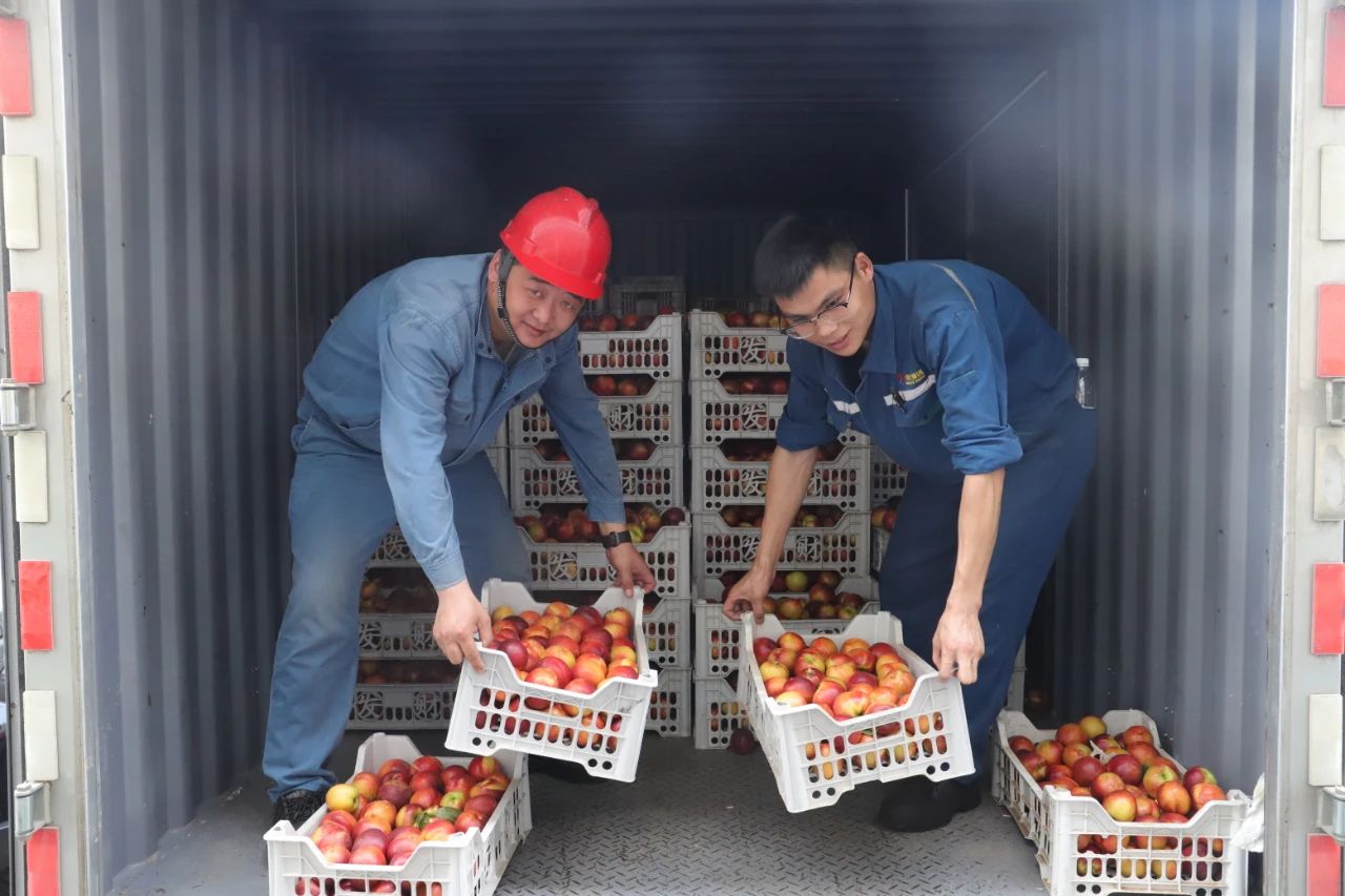 J9直营集团【CHINA】官方网站