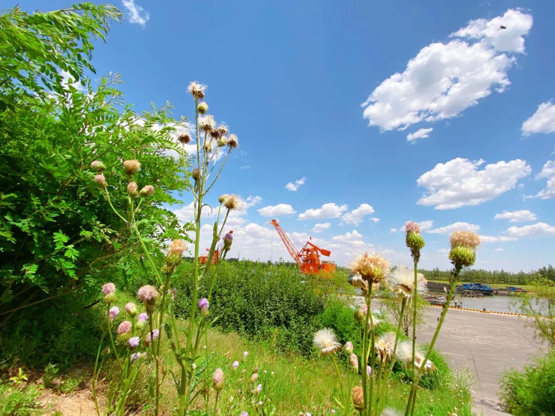 J9ֱӪ���š�CHINA���ٷ���վ