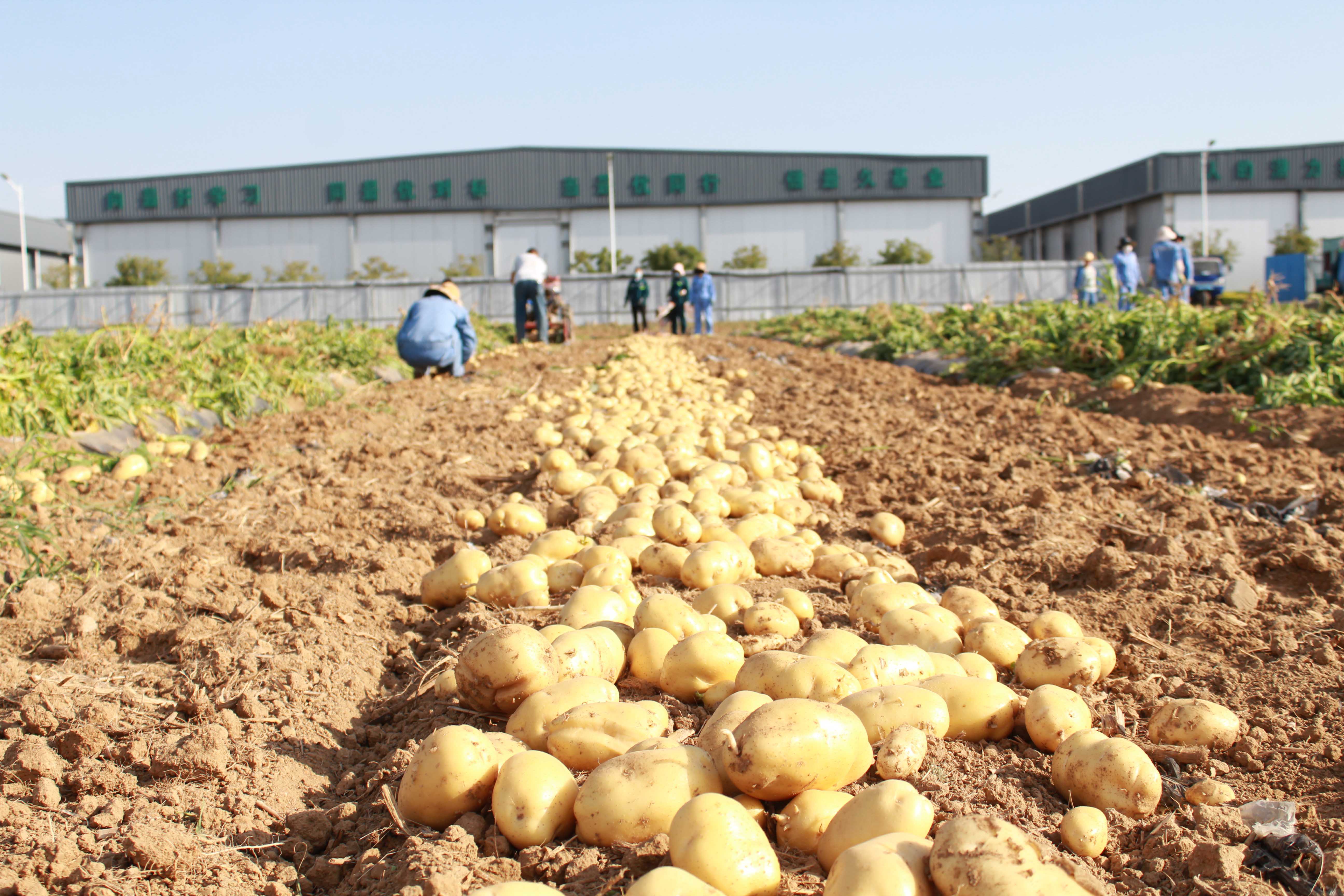 J9ֱӪ���š�CHINA���ٷ���վ