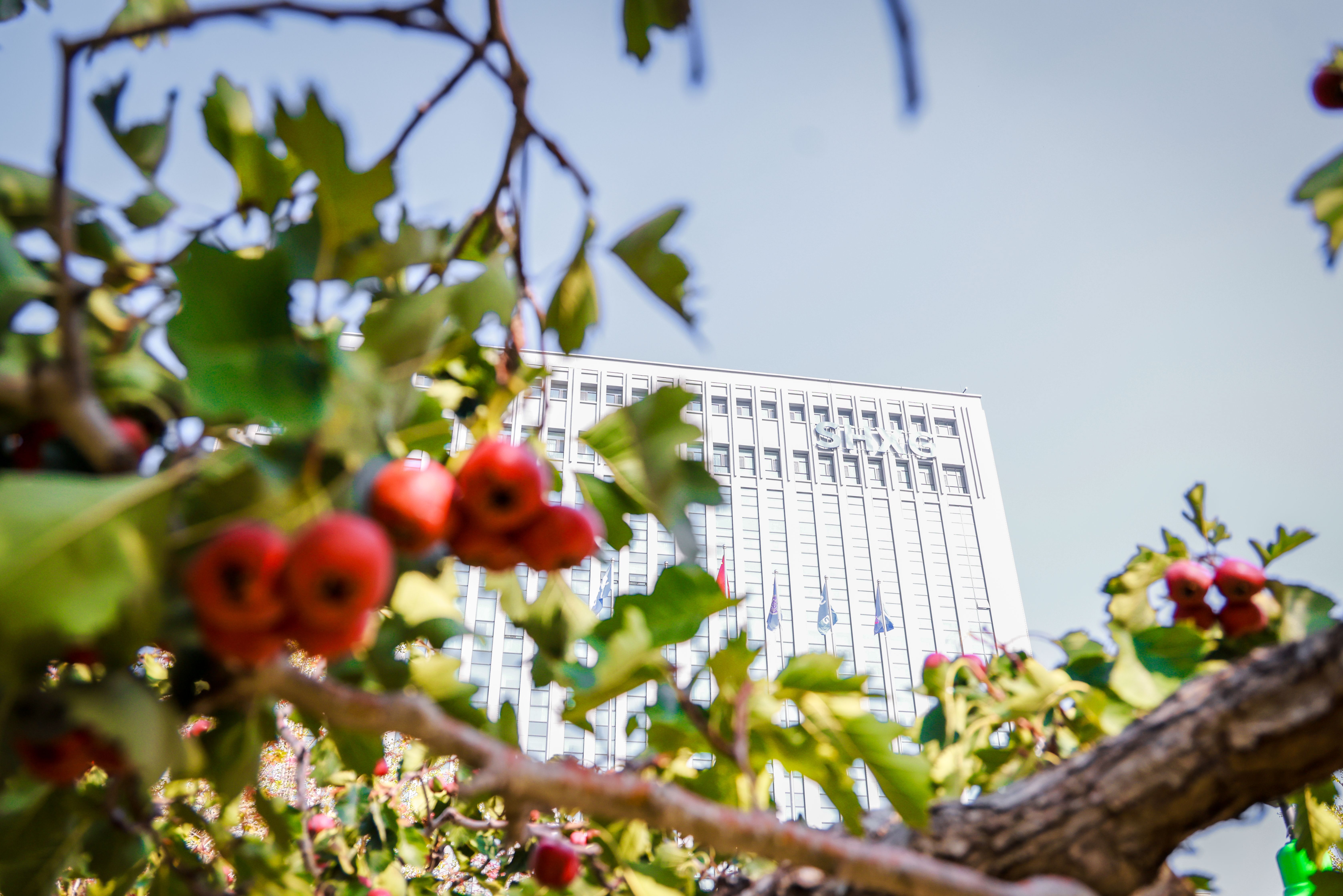 J9直营集团【CHINA】官方网站