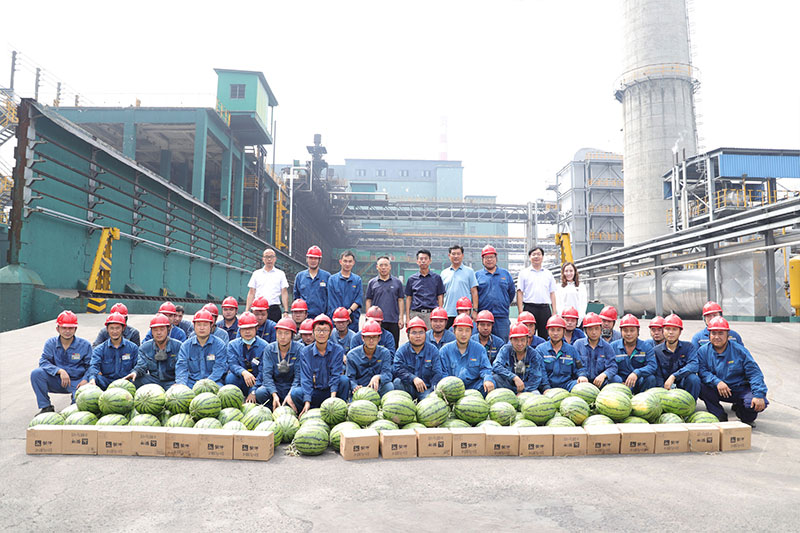 1597540243173162yVTp.jpg 13.jpg