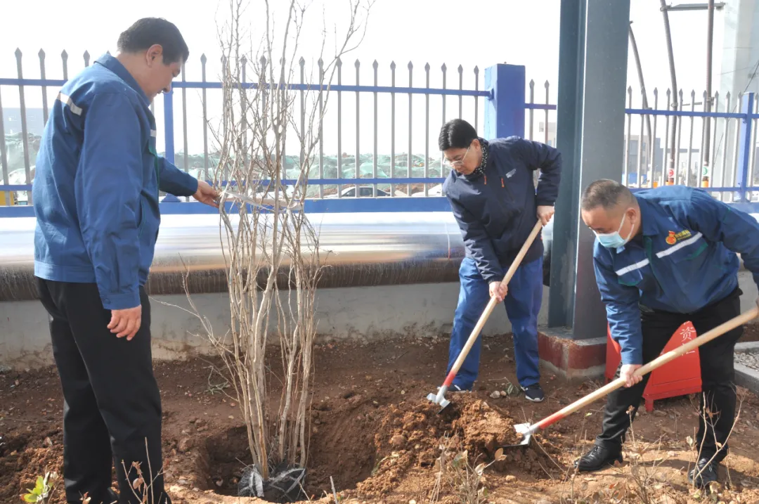 1616722926809021qC4t.jpg 2.JPG