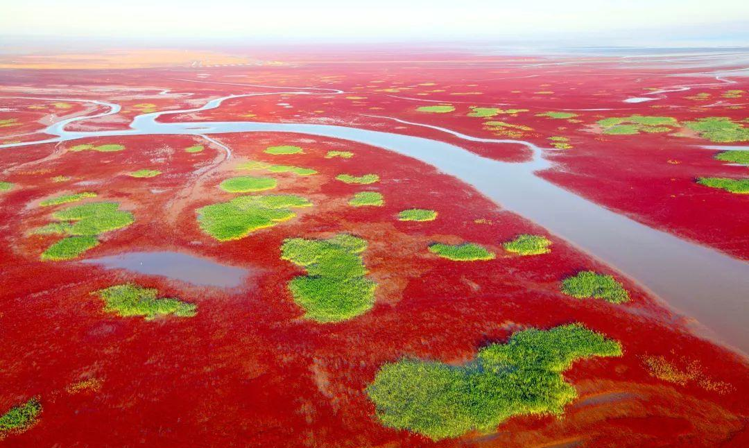 16176682101822693VBI.png ΢ÐÅͼƬ_20210406080240.png