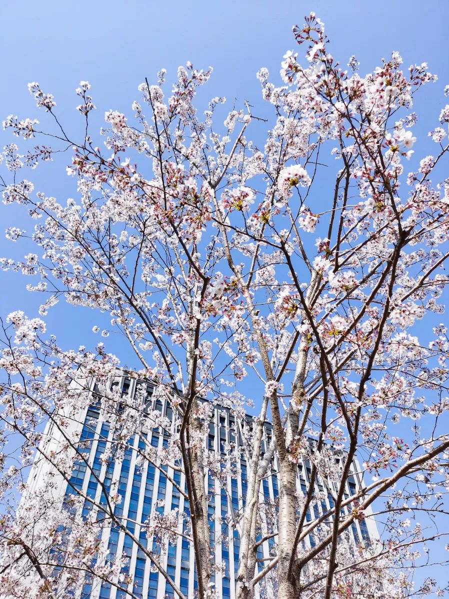 1649379199364116rjMJ.jpg 640 (6).jpg