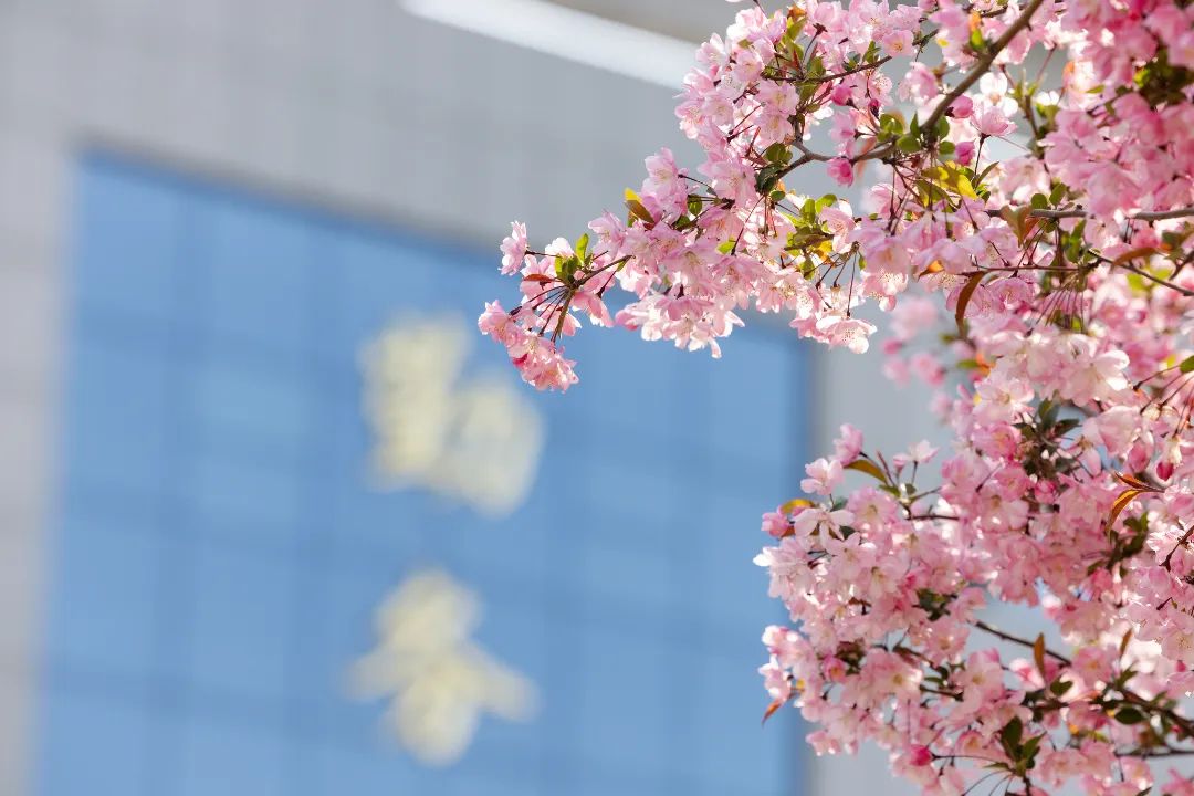 1649379225105092hp3Y.jpg 640 (7).jpg