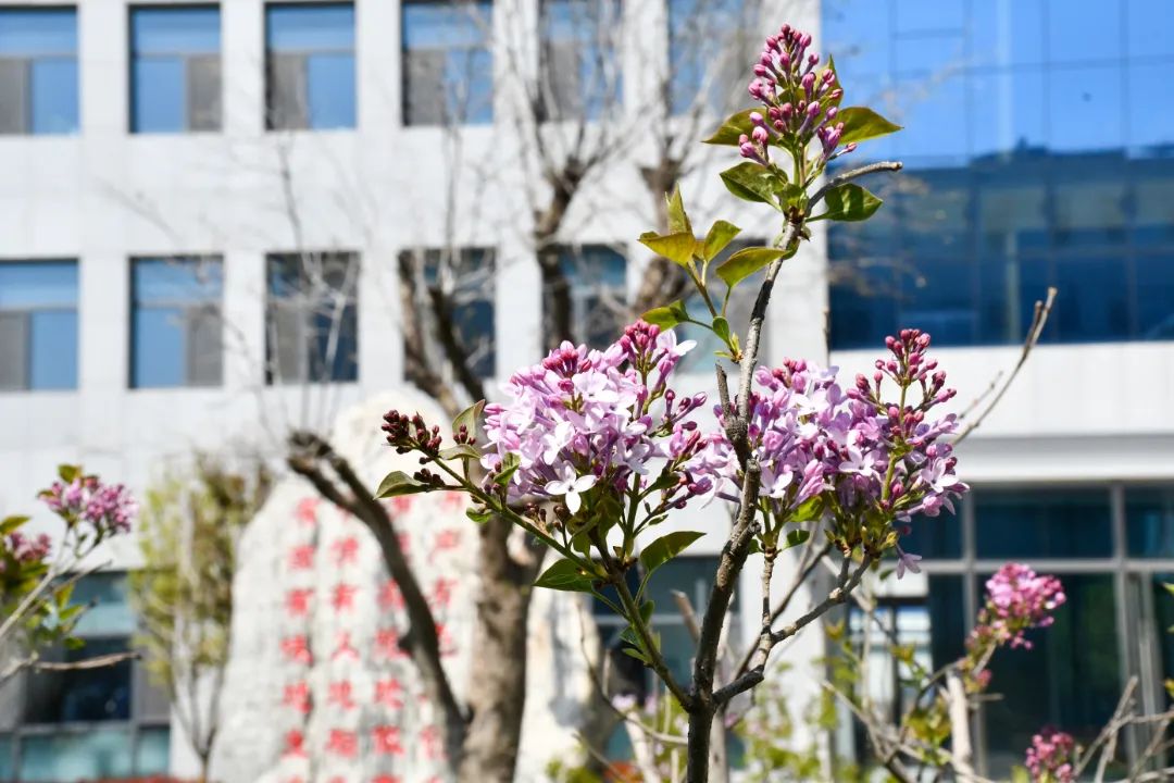 1649379253164715J0mD.jpg 640 (8).jpg