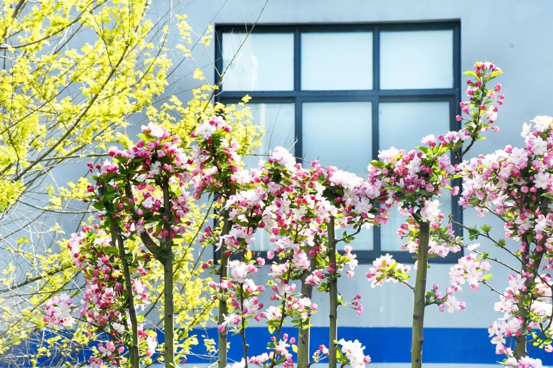 1649379292775757ZAt3.jpg 640 (9).jpg