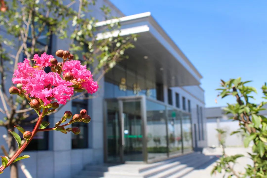 1649379317112599tIbe.jpg 640 (10).jpg