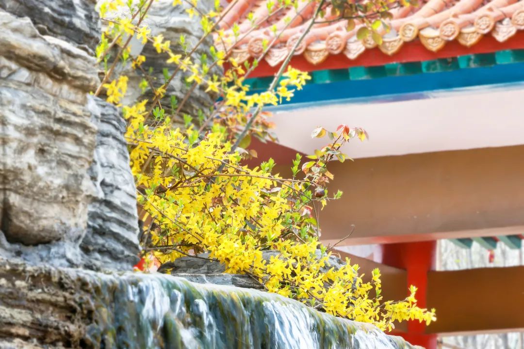 1649379332306230loij.jpg 640 (11).jpg