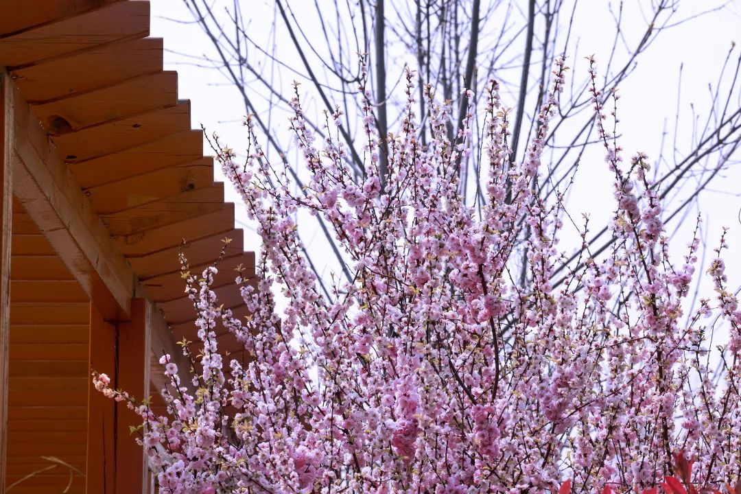 1649379352632652beLU.jpg 640 (12).jpg