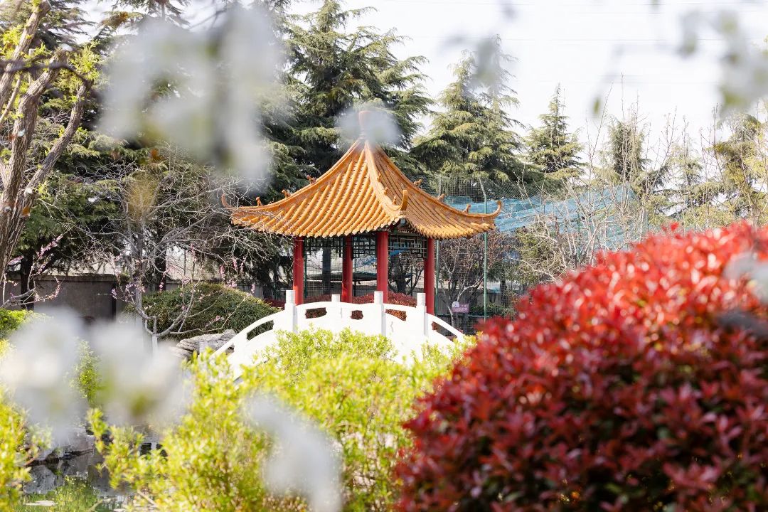 1649379362196330Os7x.jpg 640 (13).jpg