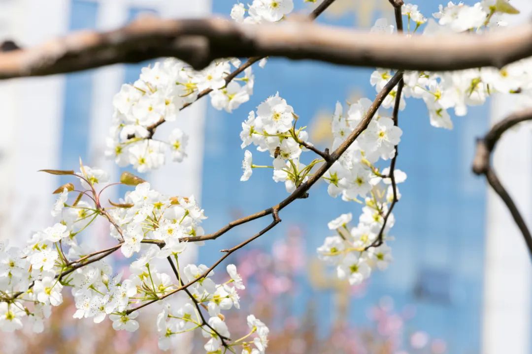 16493793764784705xCO.jpg 640 (14).jpg