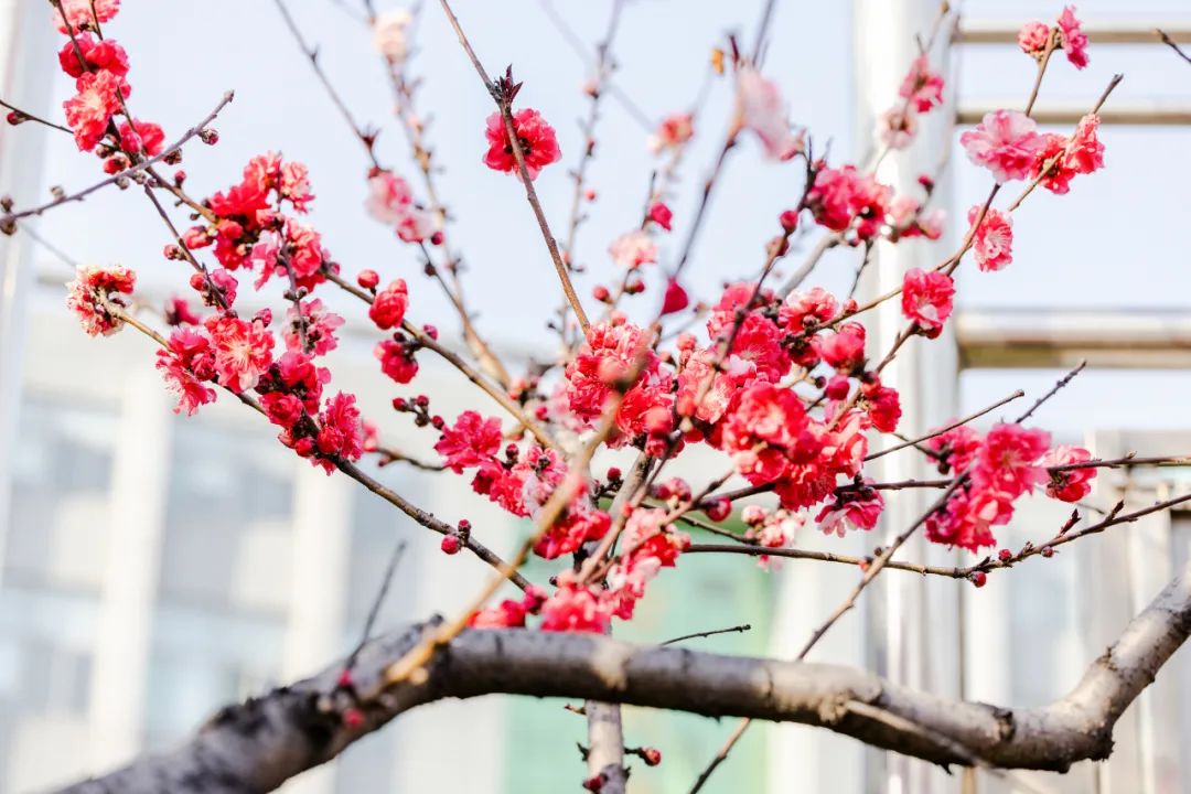 164937938724800647Y6.jpg 640 (15).jpg