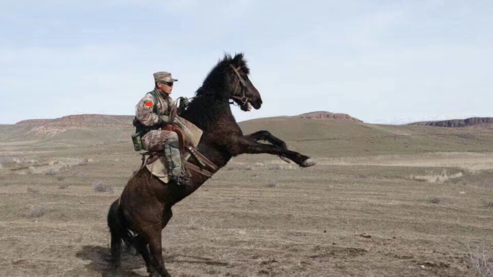 1659575015918551Y8wb.jpg ΢ÐÅͼƬ_20220803151730.jpg