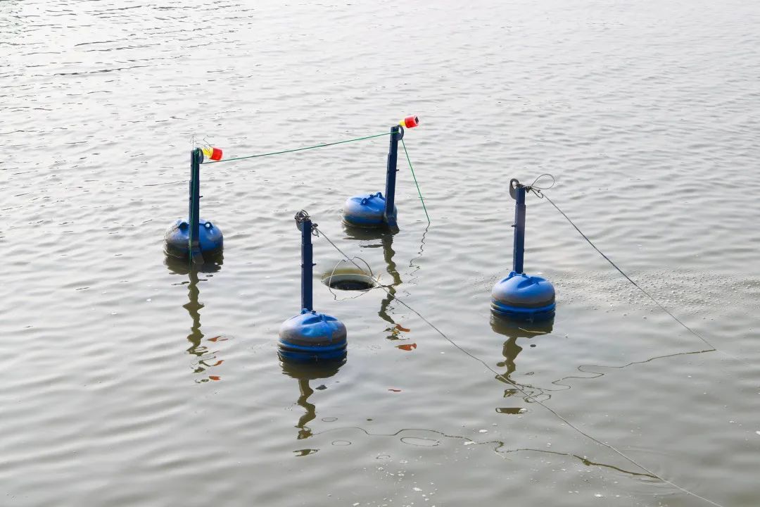 1694674173968864BVfW.jpg 640 (10).jpg