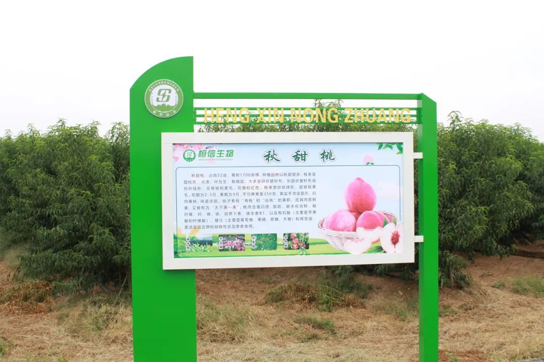 1694676844789882ojuH.jpg 640.jpg