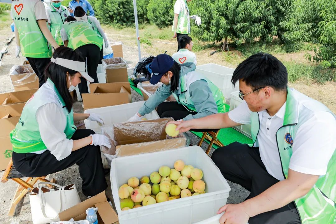 1694677355865602mGoL.jpg 640 (1).jpg