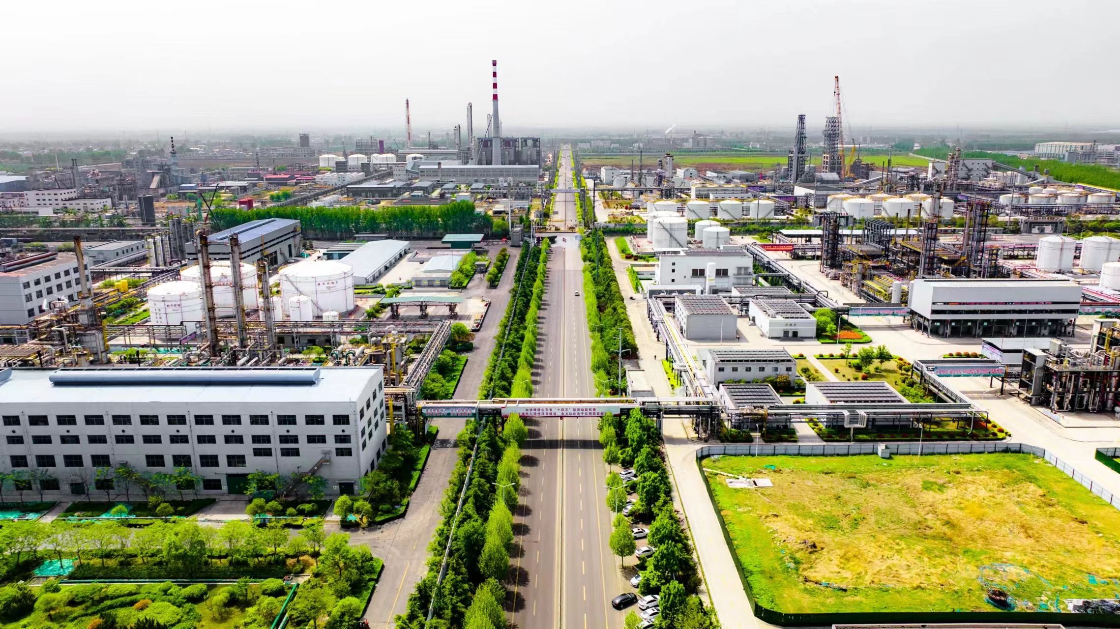 1717467329343912oqS0.jpg 1717467329343912oqS0.jpg