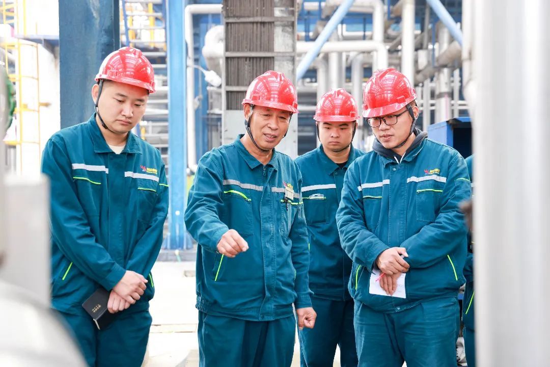 17297400177974173EWk.jpg 微信图片_20241024112000.jpg