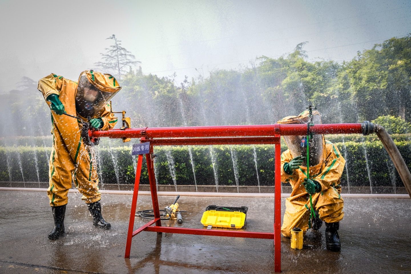 1730709590870227CEAJ.png image.png