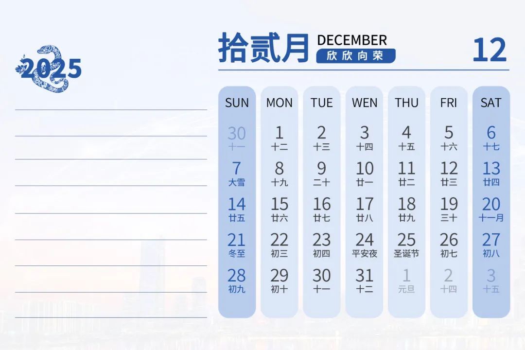 1736751009884597DUVi.jpg 25.jpg