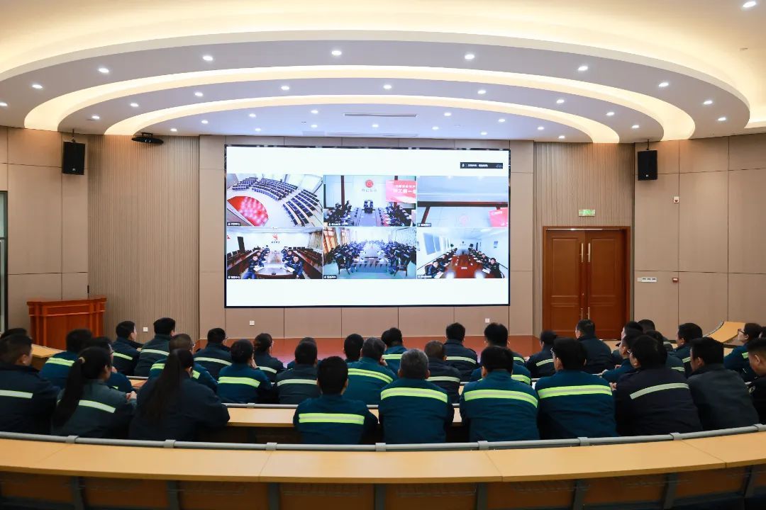 1739164953454822O3hM.jpg 44.jpg